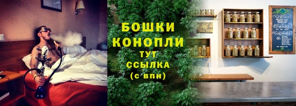 трава Аркадак