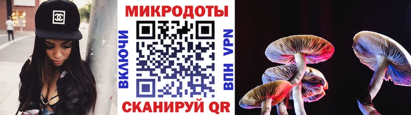 Галлюциногенные грибы прущие грибы  Сланцы 
